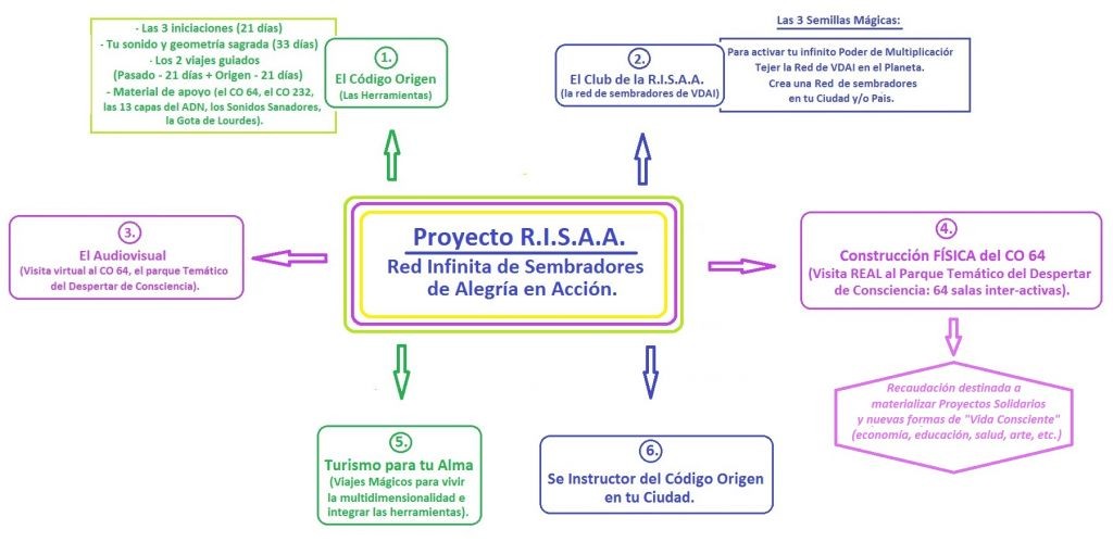 cuadro resumen proyecto risaa 2