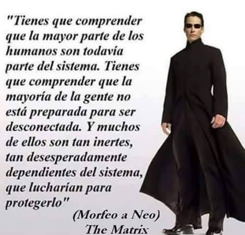 morfeo a neo